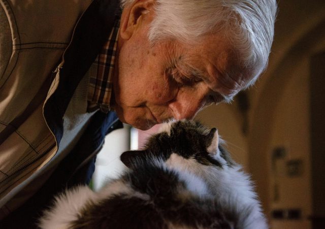 Is it ethical to keep senior pets alive if they suffer from multiple chronic conditions