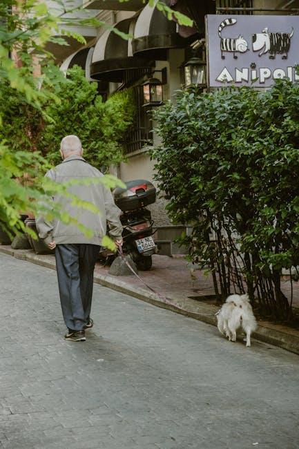 Tail-Wagging Cardio: Fun Ways to Boost Heart Health