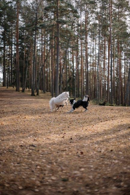 Playful Minds: Creative Activities for ‍Engaged Pets