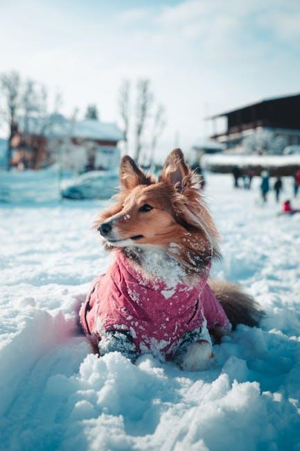 Bright Smiles, Happy Pets: Tips for Preventive Care and Maintenance