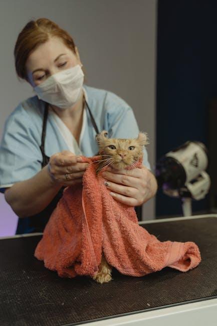 Routine‌ Check-ups: The Importance ‍of Regular Vet Visits