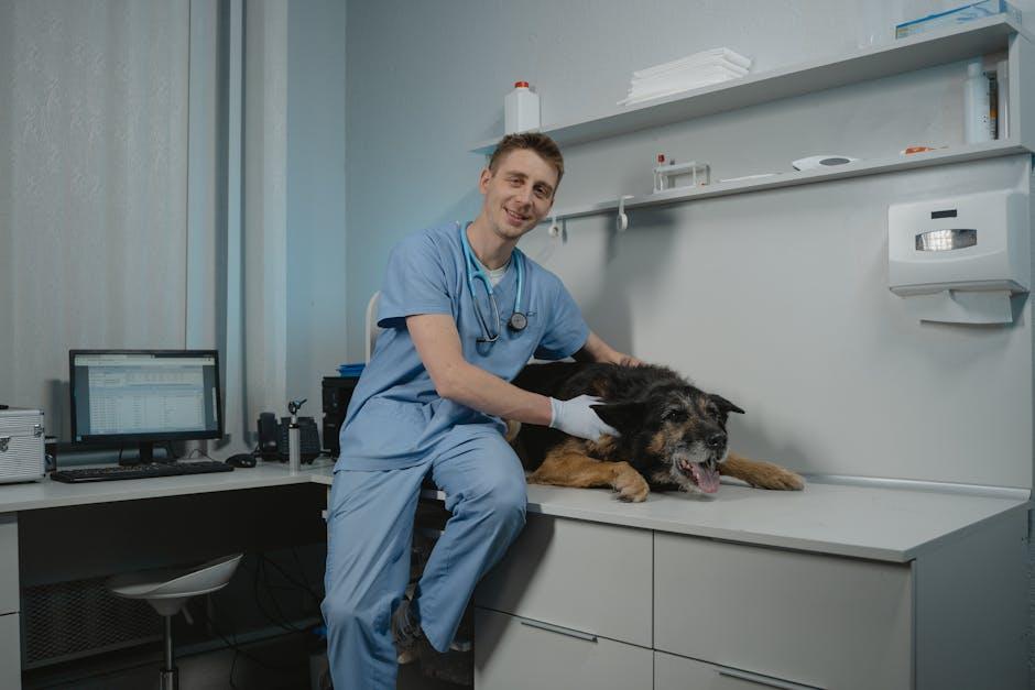 Finding Value in Veterinary Services: Making Informed Choices