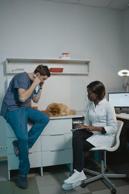 Consulting Your Vet: Professional Guidance for Peace of Mind