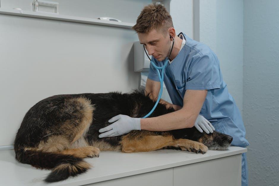 Vet Visits and Vaccines: Your Pet’s Health Check Essentials