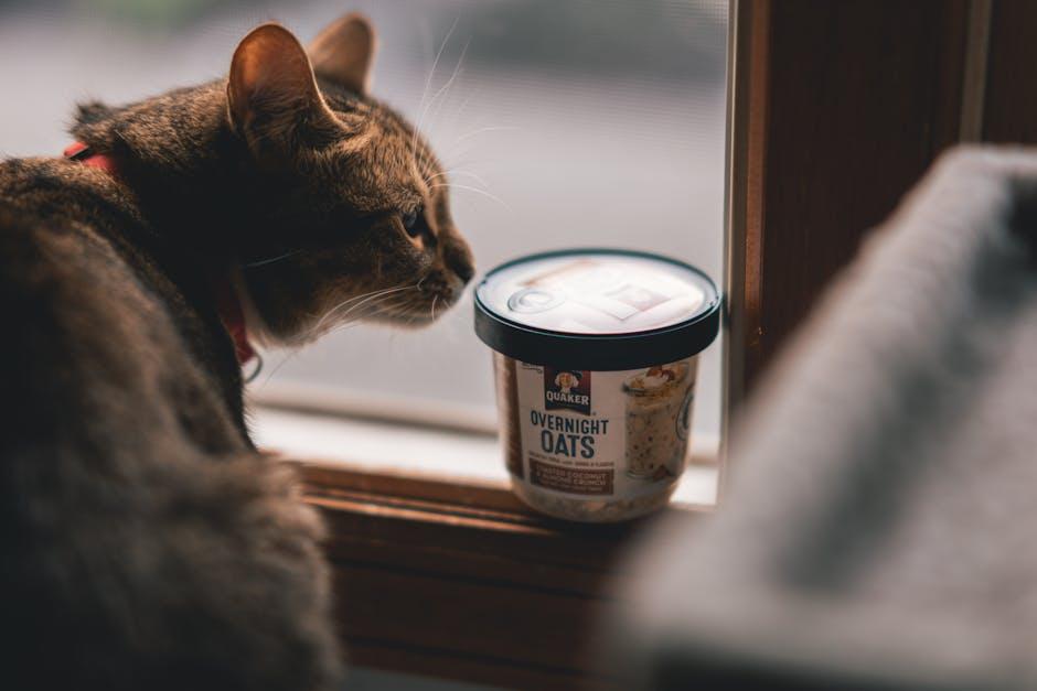 Spotting the Signs: Is ‌Grain-Free Right for Your Pet?