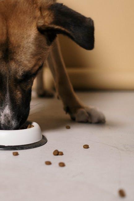 Understanding Nutritional Needs: Tailoring⁢ Diets for Different Breeds and⁤ Ages