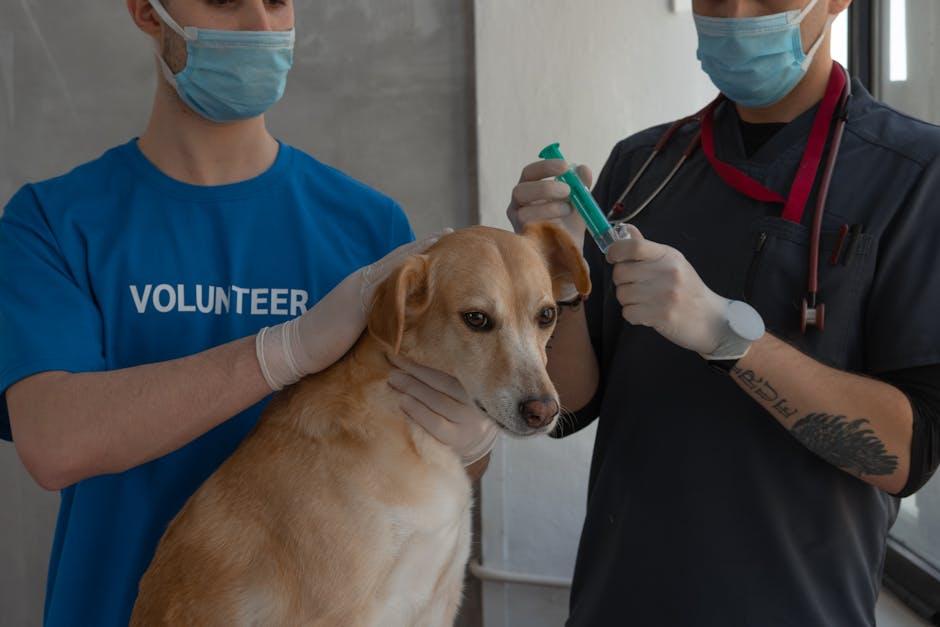 Shielding Our Furry Friends: The Science Behind Pet Vaccinations