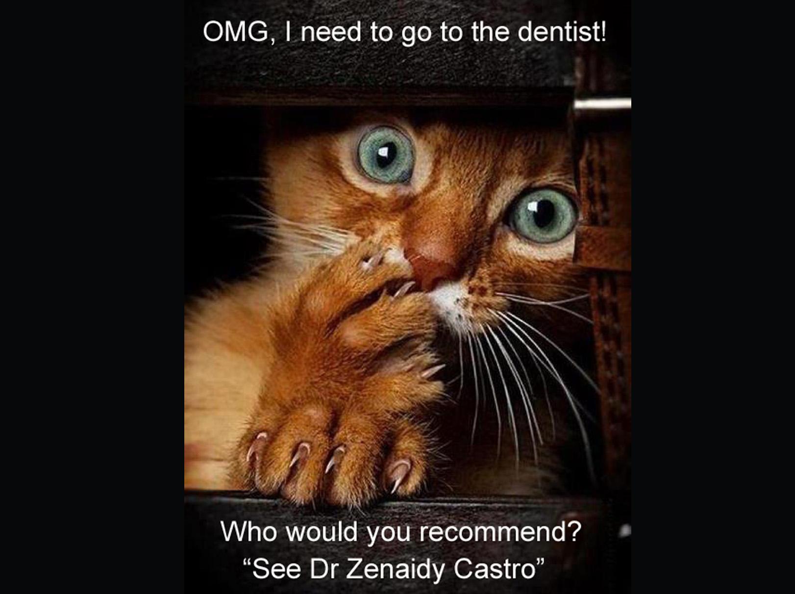 Exploring the Necessity of Professional‌ Pet Dental ‌Care