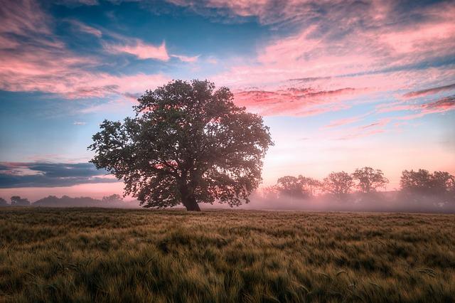 Balancing Act: When to Choose Nature and When to Trust Medicine